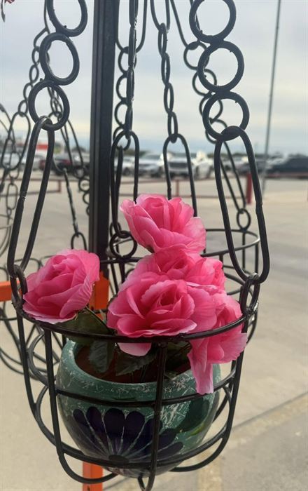 Wrought iron hanging basket holding a planted pot