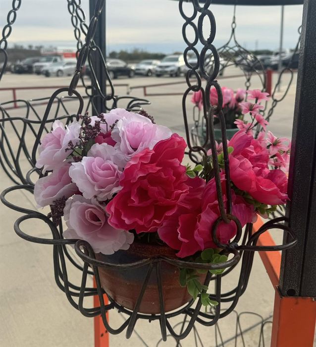 Chain-hung wrought iron basket planted with roses