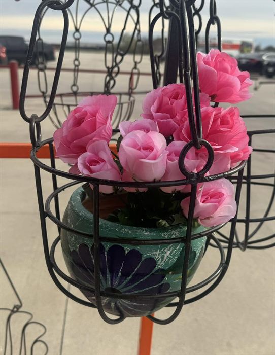 Chain-hung wrought iron basket, planted