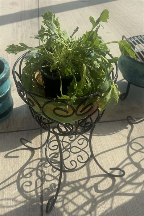 Wrought iron plant stand holding a planted fern