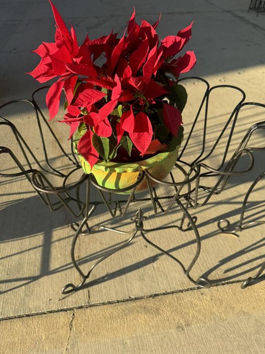 Low wide wrought iron plant stand