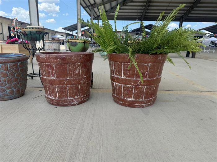 A pair of large terracotta pots holding ferns